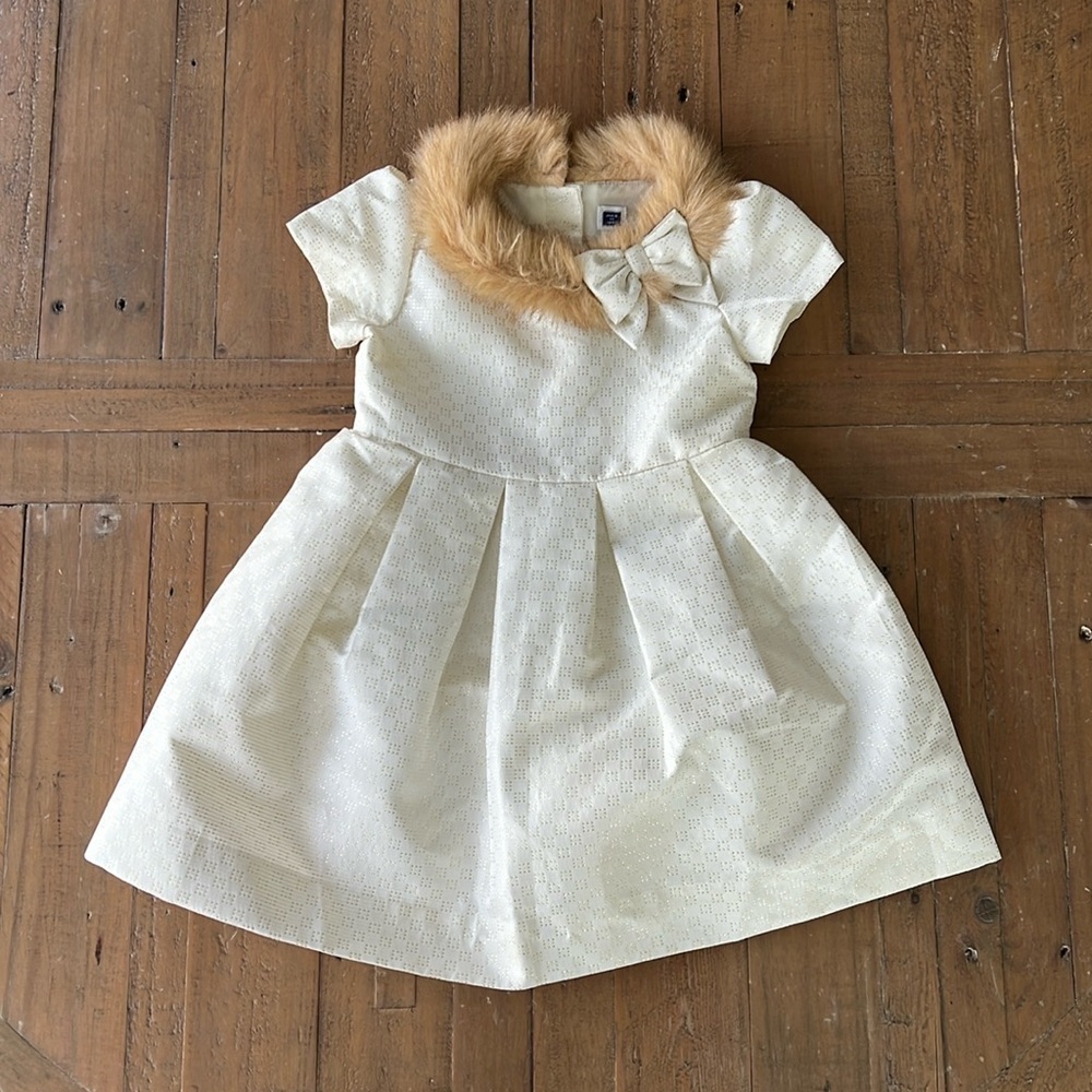Janie and jack metallic faux fur collar party party dress